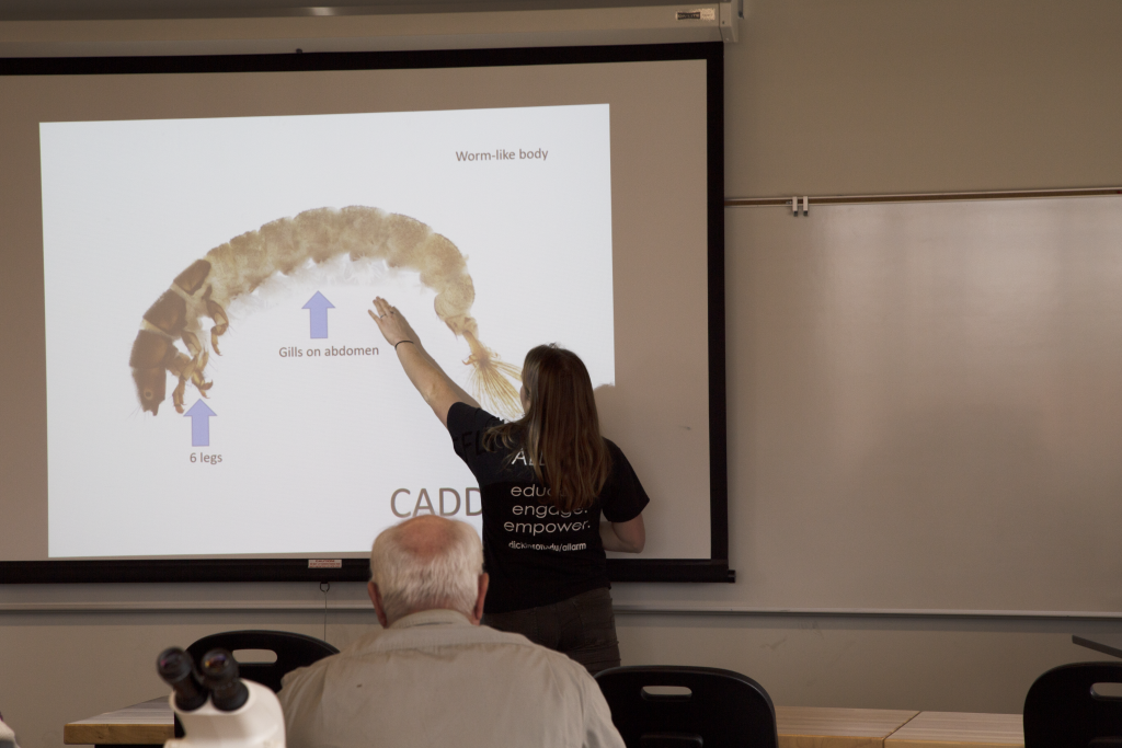watershed coordinator pointing to caddisfly on powerpoint screen