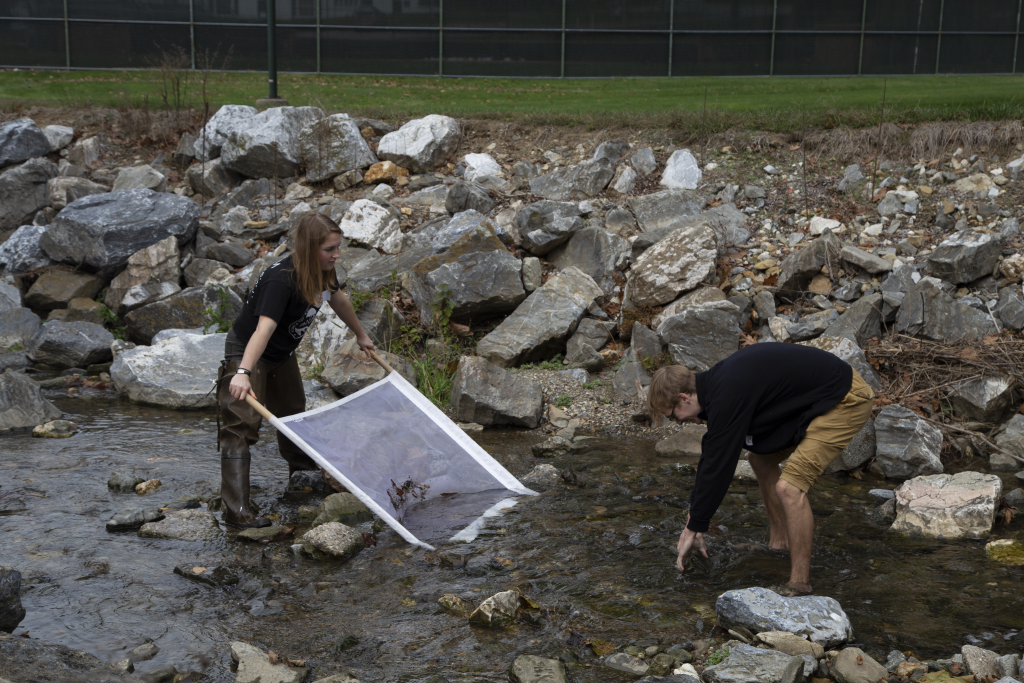 watershed coordinators in the stream with a macroinvertebrate kick net