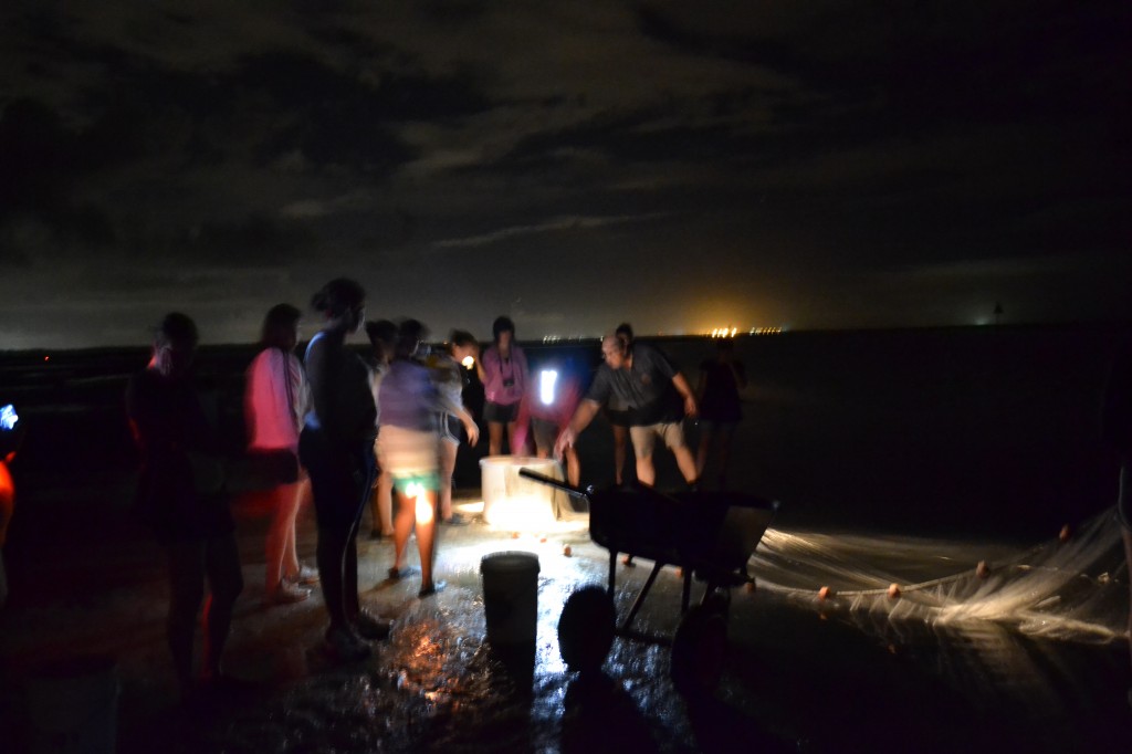 Fish collecting is always better at night (but beware sharks!)