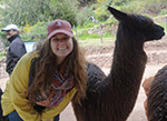 befriending alpacas