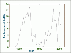 Annual catch of Peruvian anchovy catch, by weight, since 1960