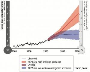 Global Emissions Projections