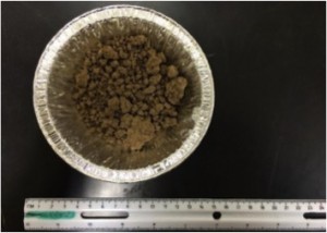 Dried soil sample from I-81 off of Carlisle, PA