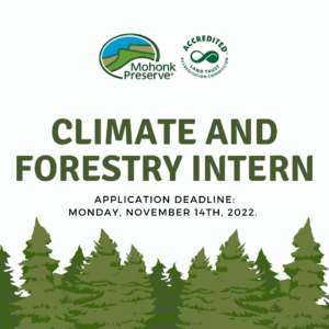 Image of Climate and Forestry Intern Application Details