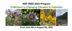 NSF-IRES 2023 Program, Pollinators in Changing Climates in Colombia. From June 9th to August 6th, 2022. Images of pollinators.