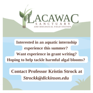 Lacawac Sanctuary poster. Reads: Interested in an aquatic internship experience this summer? Want experience in grant writing? Hoping to help tackle harmful algal blooms? Contact Professor Kirstin Strock at Strockk@dickinson.edu