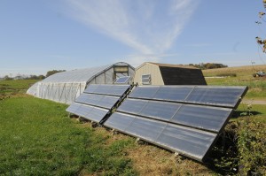 Solar Panels by a High Tunnel on Dickinson Farm