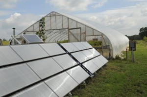 Solar Array Next to Greenhouse, which powers our solar water heater.