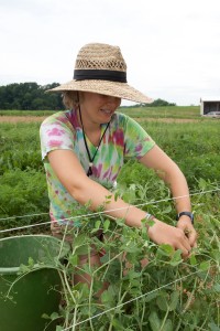 Claire Fox, Graduate Intern, harvests produce in 2011.