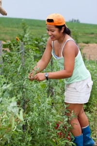 Student worker Giovania Tiarachristie '13 harvests beans in summer 2011.