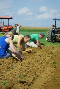 Student farmers working on a summer day.