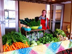 HUB Farm Stand, 2011
