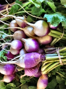 Turnips from Dickinson Farm.