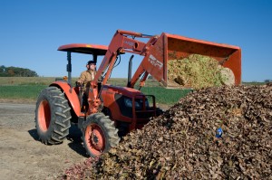 A compost pile (windrow) is mixed using a front-loading tractor at Dickinson Farm.