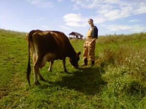 Anna with a Jersey dairy cow, Ianthena. Dairy cows are generally leaner.