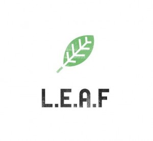 leaf