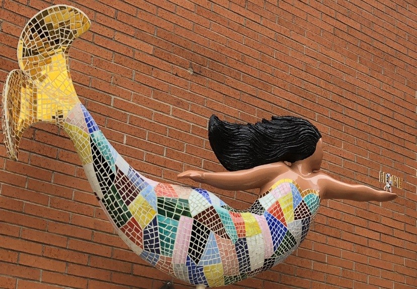Mermaid at Norfolk's General Hospital