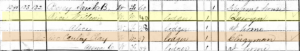 Screenshot of the 1880 census. Clay McCauley is highlighted in orange. The yellow highlight is a mistake made by Ancestry.com.