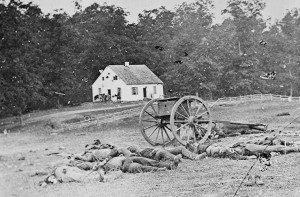 Confederate Dead at Antietam