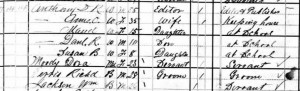 1880 US census Anthony household