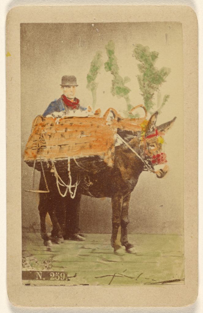 Unidentified man with mule carrying baskets of food. Italy, 1870s. Source: J. Paul Getty Museum
