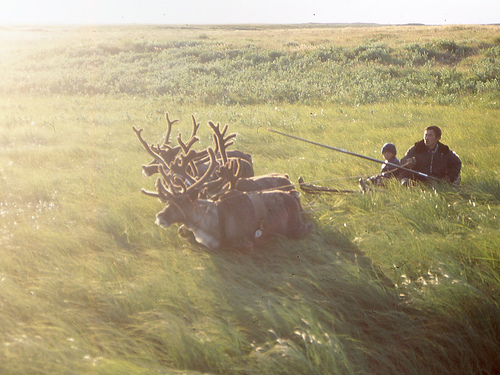 Nenet herders in the summer. Source: Karen Mulders