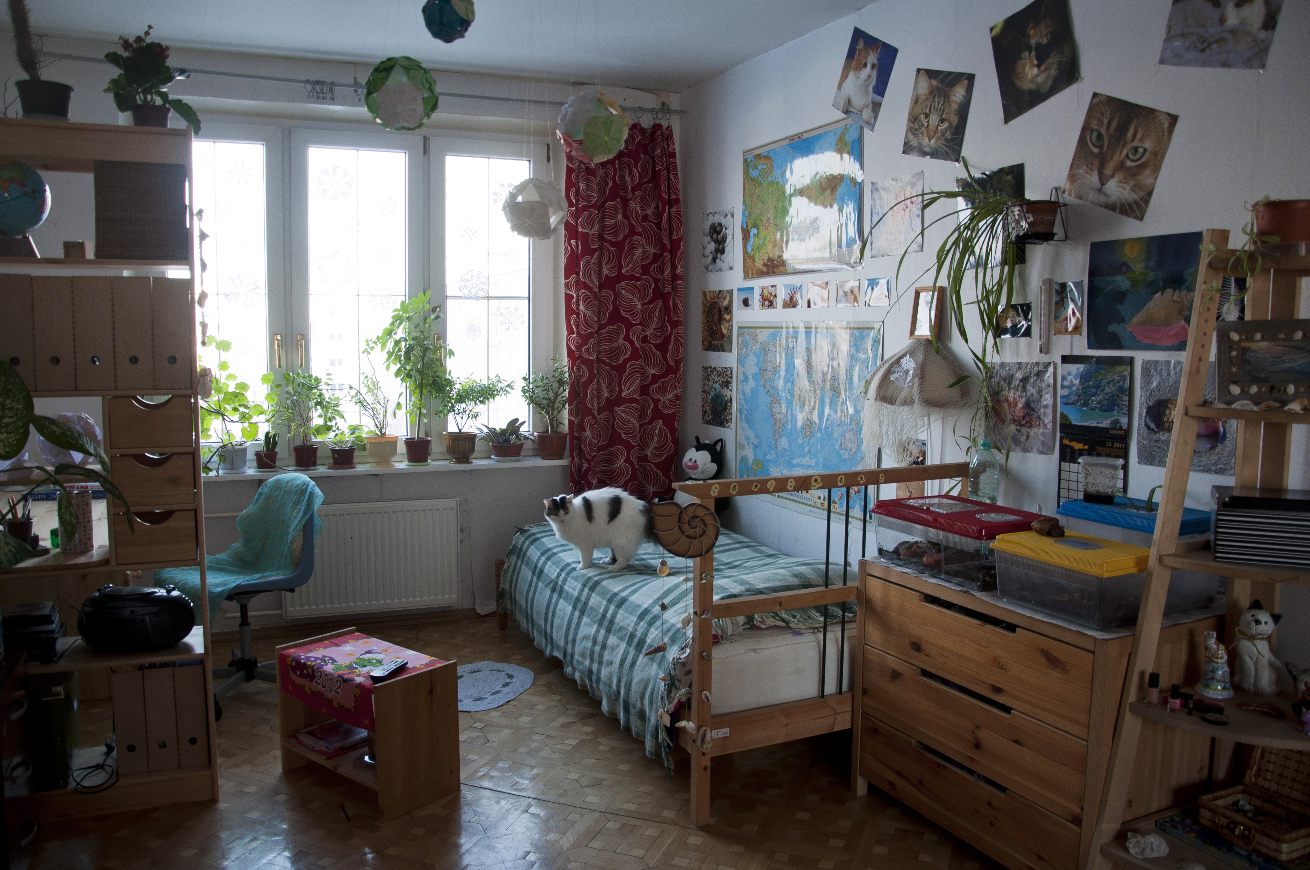 bedroom of Russian woman, with cat, and pictures on walls