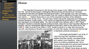 Dissident Movement - Figure 1