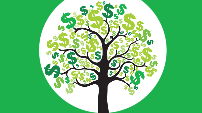 money on trees