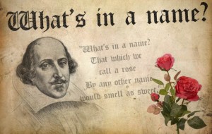 Whats-in-a-Name-Shakespeare