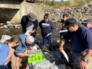 Photo shows group of people looking down at a bin which was used to organize insects found in the stream.