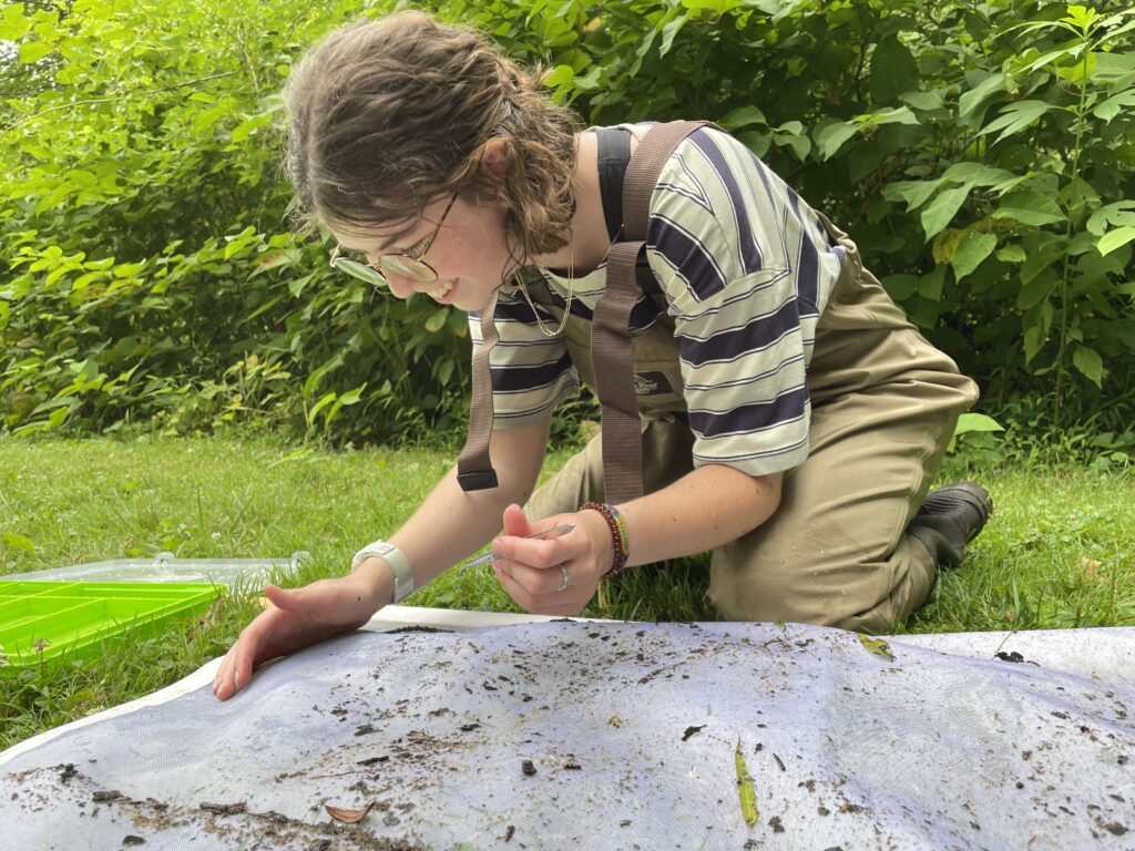 Grace kneels in front of a net covered in collected macroinvertebrates.