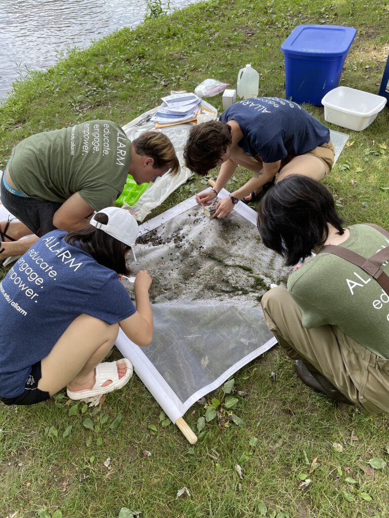 The ALLARM team does a test before the campers arrive to see what macros were in the waterway!