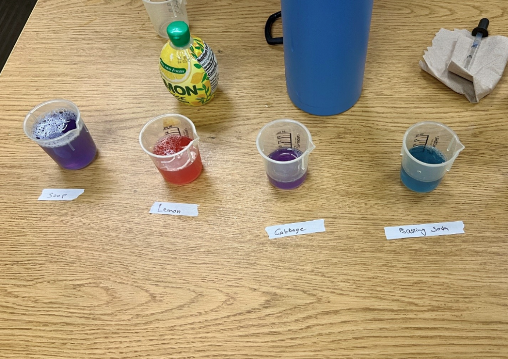 Four beakers show varying pH reactions. From left to right: soap (purple/relatively neutral), lemon juice (bright pink/acidic), cabbage (purple/neutral), and baking soda (blue/basic).