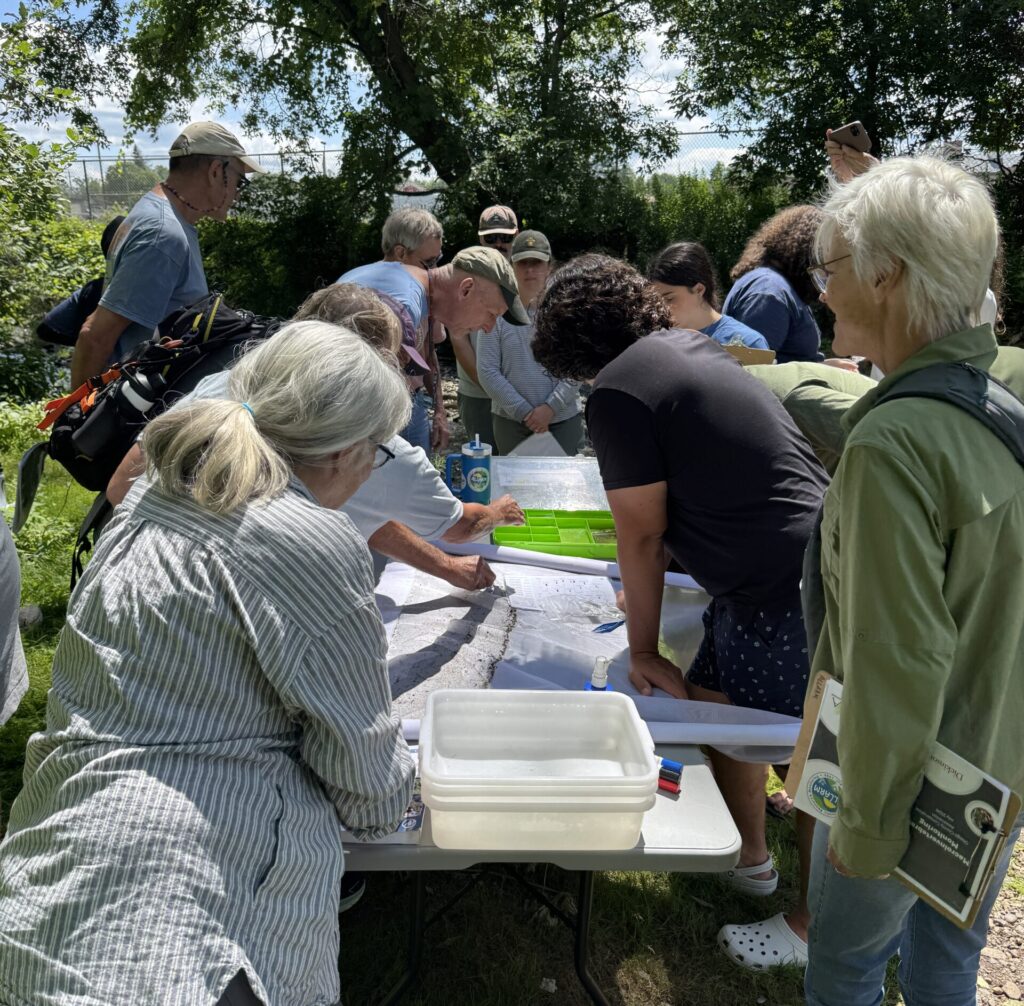 OCCA members huddled around a folding table, identifying macroinvertebrates by the stream.