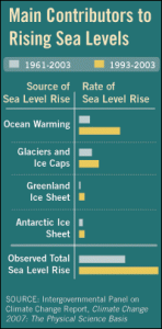 The major contributors to the rising ocean is the expansion of water as the ocean absorbs heat from the atmosphere, and melt water from glaciers and ice caps.
