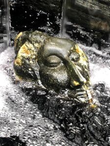 stone male head in water