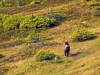 camp_griz_DS3_4093