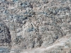 icefall_textures_DS3_4375