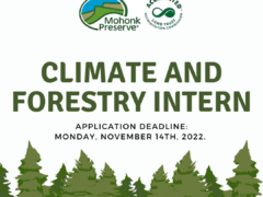 Climate and Forestry Inter Advertisement