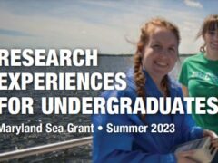 The words "Research Experiences for Undergraduates: Maryland Sea Grant - Summer 2023" are superimposed on a photo of two people on a boat in the water