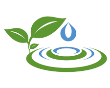 Cumberland County Conservation District Graphic: Water droplet falling beside a sapling