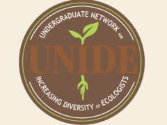 UNIDE Undergraduate Network logo