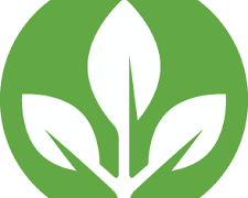 Center for Sustainability Education (CSE) Logo- A white sapling is encased in a green circle