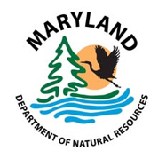 Maryland Department of Natural Reseources Logo. A heron is flying over the lake towards a pine tree