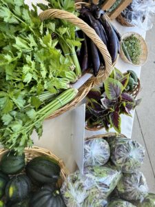 A photo of celery, eggplant, squash and herbs 