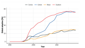 Graph showing GM crop adoption over time for cotton, soy, canola, and maize
