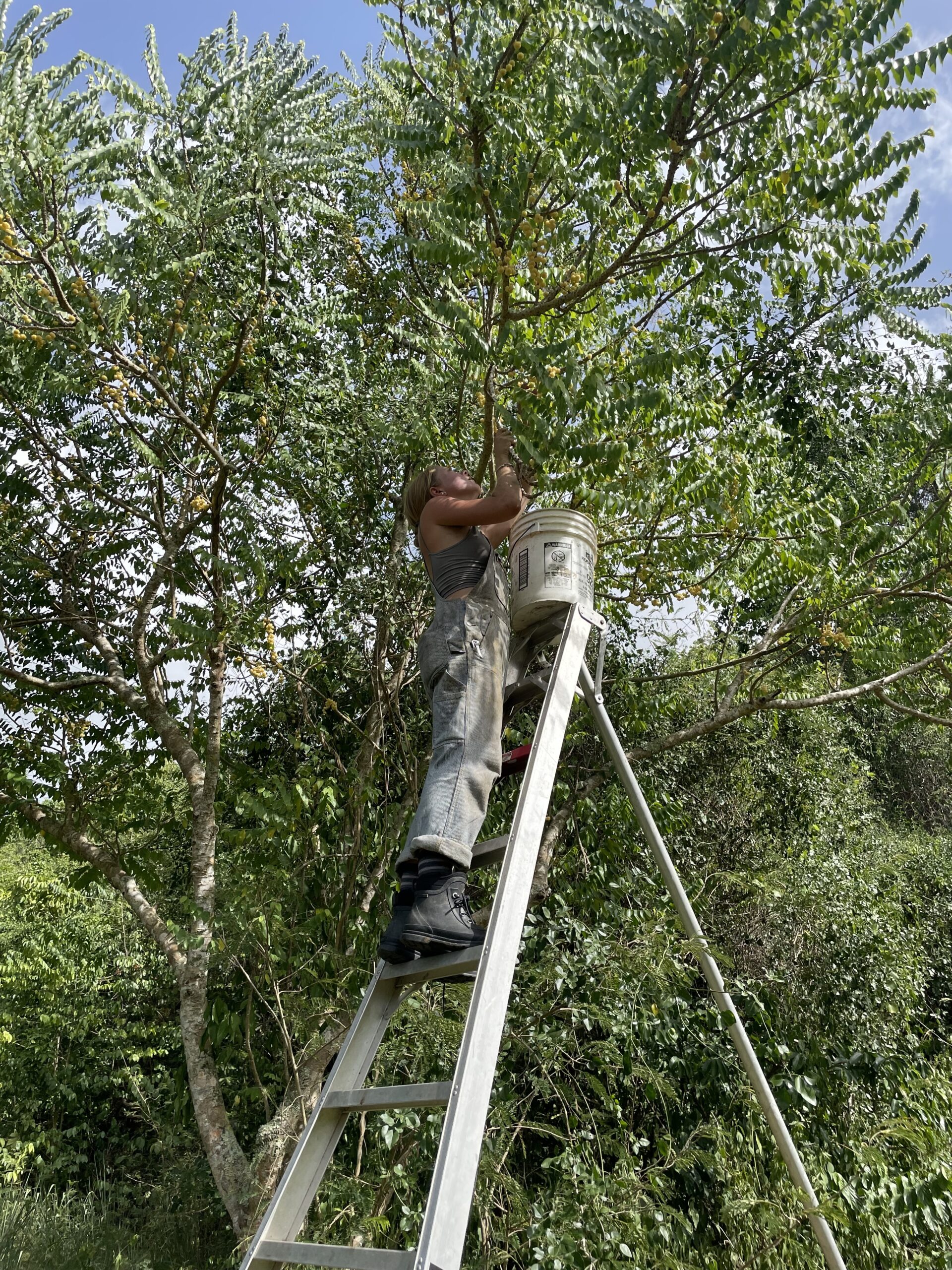 Alumni Spotlight: Elizabeth Gallo ’20