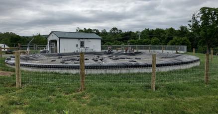 Waste To Energy: Where does our food go after disposal?