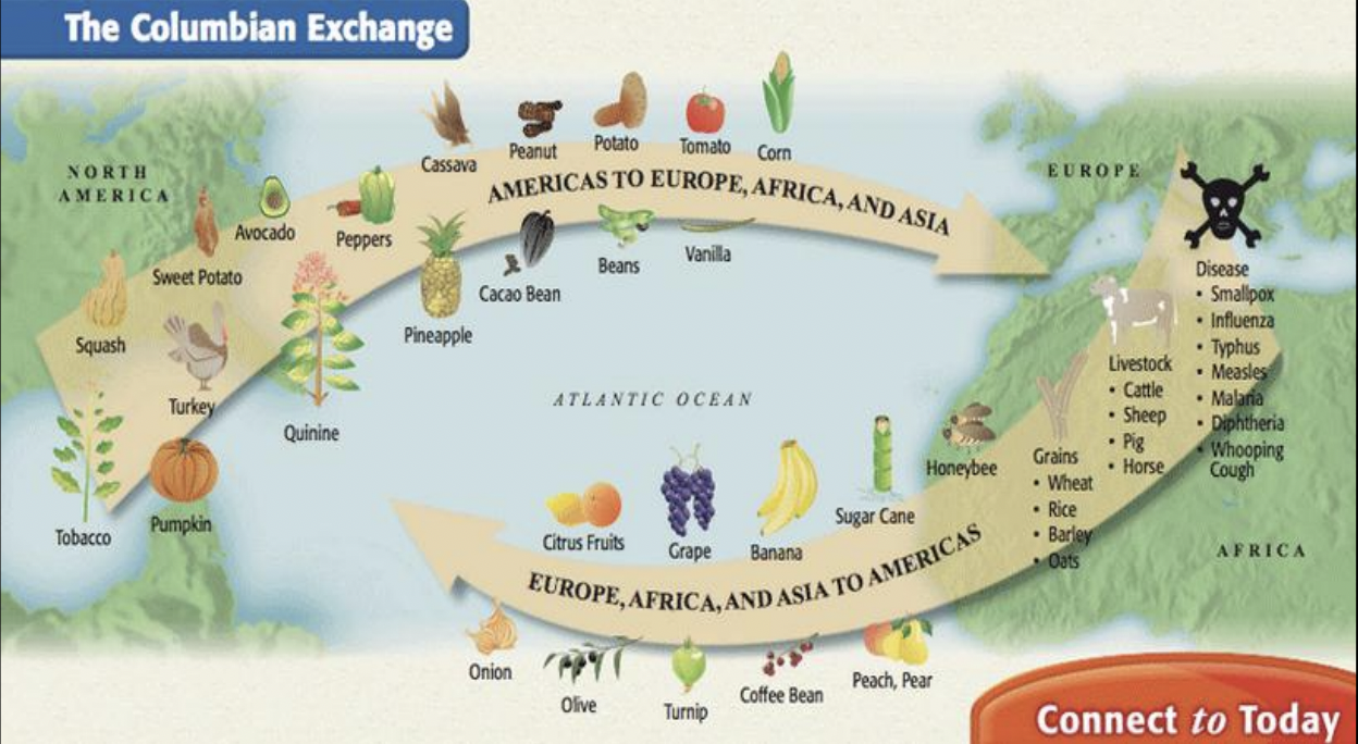 Columbian Exchange History 117 US History To 1877   Screen Shot 2021 08 29 At 9.45.23 AM 